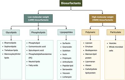 Sustainable biosurfactant production from secondary feedstock—recent advances, process optimization and perspectives